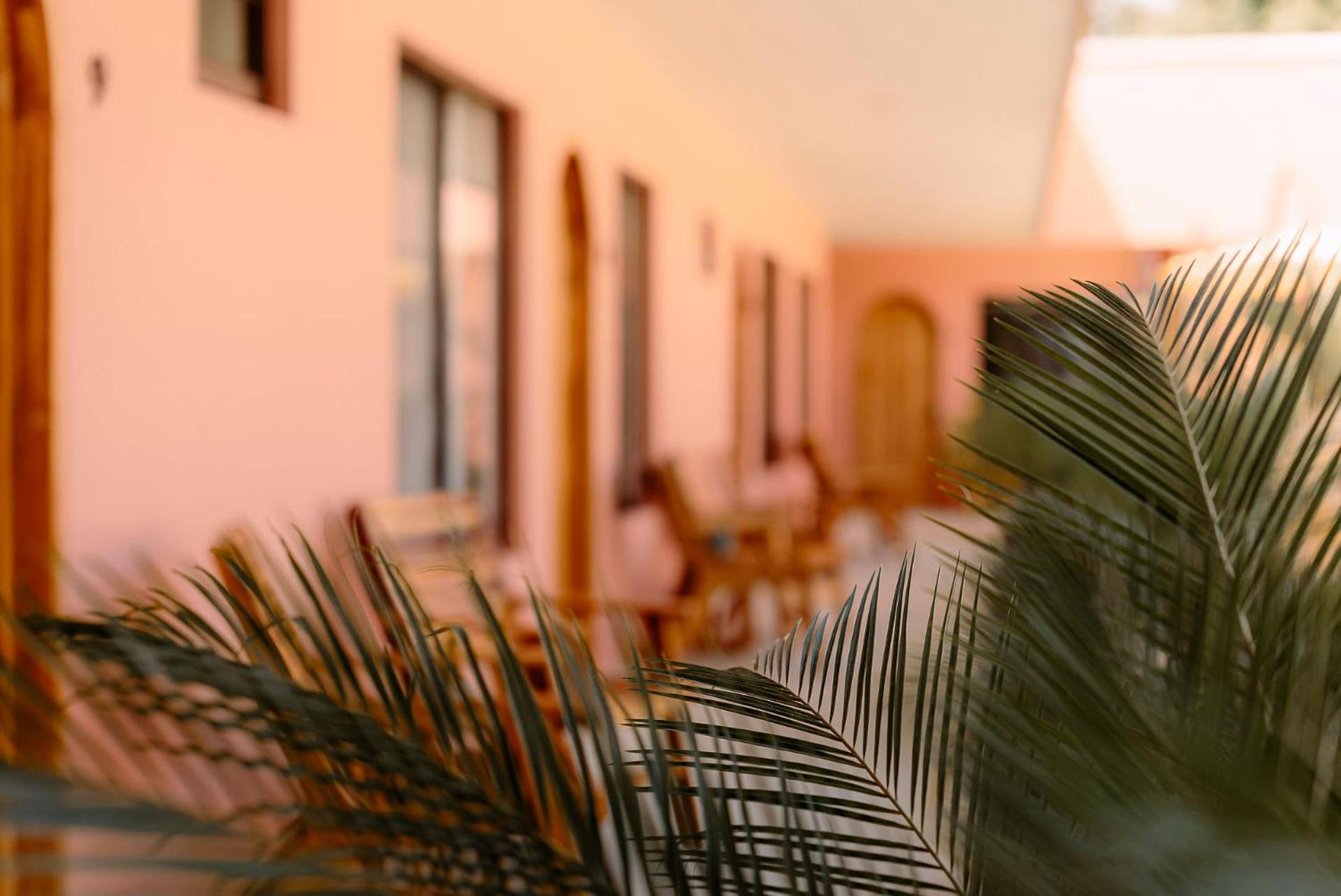 Hotel Amavi جاكو المظهر الخارجي الصورة